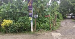 Lot For Sale in Senangote Avenue, Tagum City