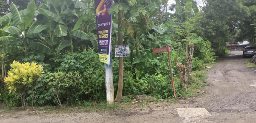 Lot For Sale in Senangote Avenue, Tagum City