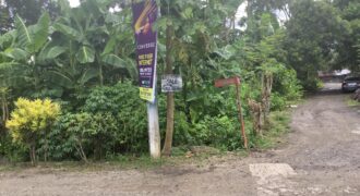 Lot For Sale in Senangote Avenue, Tagum City